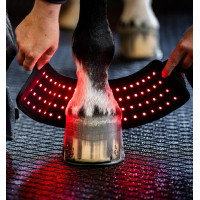Mini Galocha de Terapia Horseware com Luz Vermelha LED Preto / preto