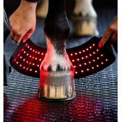 Mini Galocha de Terapia Horseware com Luz Vermelha LED Preto / preto