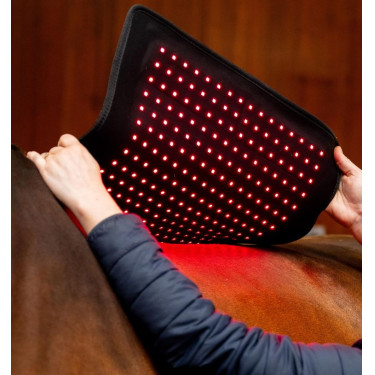 Manta de Terapia por Luz Vermelha LED Horseware Preto / preto