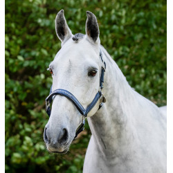 Caveção de limpeza Horseware Marinho Azul-marinho