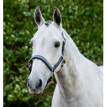 Caveção de limpeza Horseware Marinho Azul-marinho