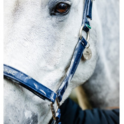 Caveção de limpeza Horseware Marinho Azul-marinho