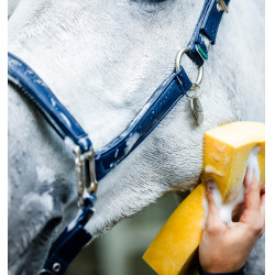 Caveção de limpeza Horseware Marinho Azul-marinho