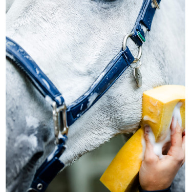 Caveção de limpeza Horseware Marinho Azul-marinho