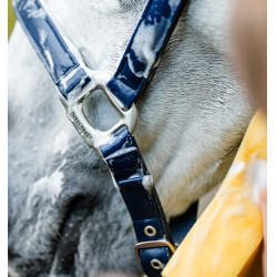 Caveção de limpeza Horseware Marinho Azul-marinho