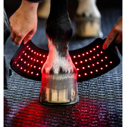 Mini Galocha de Terapia Horseware com Luz Vermelha LED Preto / preto
