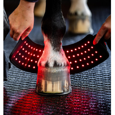 Mini Galocha de Terapia Horseware com Luz Vermelha LED Preto / preto