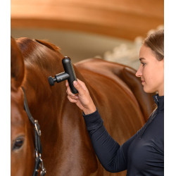 Aparelho de massagem Waldhausen Health + care PocketRelax Preto