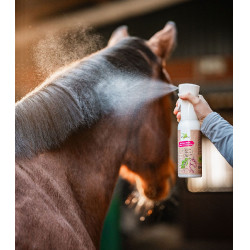 new