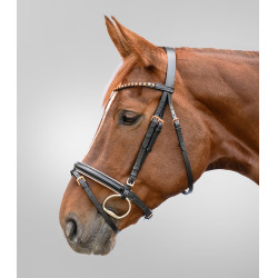 Bridão Star dourado-rosa Preto