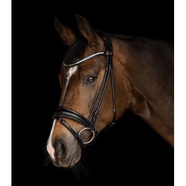 Bridão Waldhausen S-Line Grace Preto