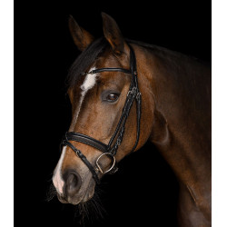 Bridão Waldhausen X-Line Charmbit Preto