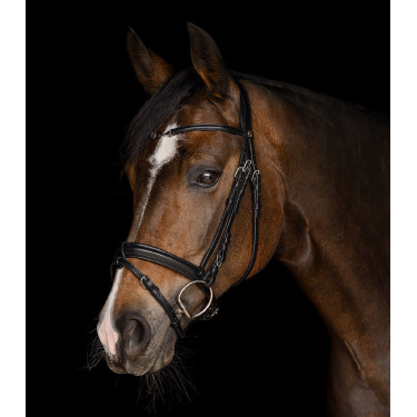 Bridão Waldhausen X-Line Charmbit Preto