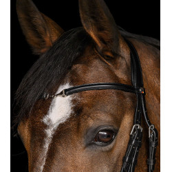 Bridão Waldhausen X-Line Charmbit Preto