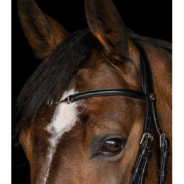 Bridão Waldhausen X-Line Charmbit Preto