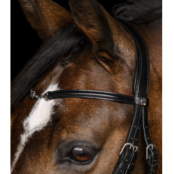 Bridão Waldhausen X-Line Charmbit Preto