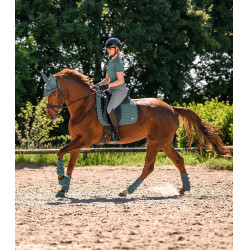 Sinos Waldhausen Performance Verde pinho