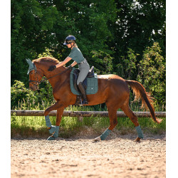 Sinos Waldhausen Performance Verde pinho