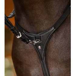 Peitoral Work Waldhausen X-Line Preto