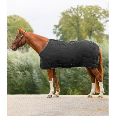 Manta de estábulo Economic Waldhausen 200 g Preto