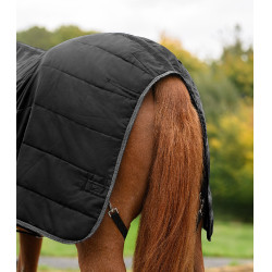 Manta de estábulo Economic Waldhausen 300 g Preto