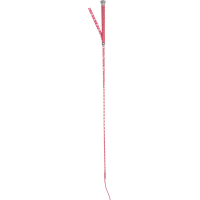Chicote de dressage Waldhausen para criança com pequenos corações Rosa
