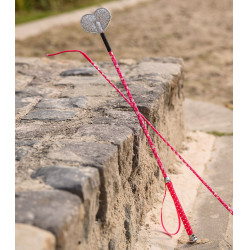 Chicote de dressage Waldhausen para criança com pequenos corações Rosa