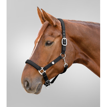 Caveção Waldhausen Trinidad Preto