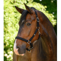 Caveção Waldhausen Trinidad Preto