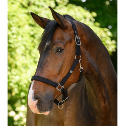 Caveção Waldhausen Trinidad Preto