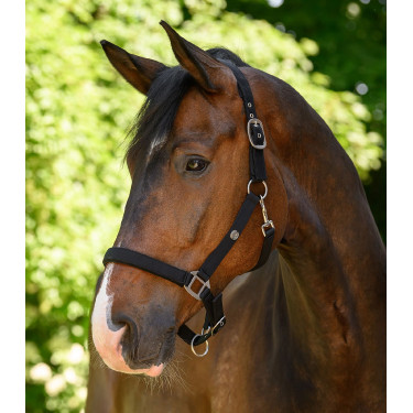 Caveção Waldhausen Trinidad Preto