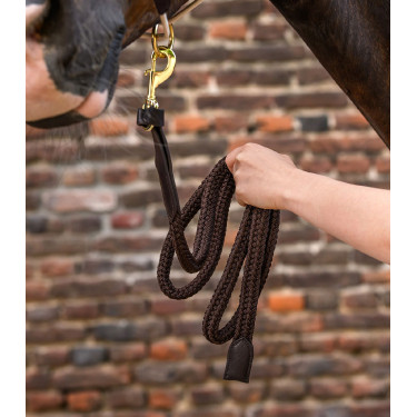 Longe Royal Waldhausen com detalhes em couro Castanho