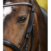 Par de tapa-olhos Waldhausen pequeno Preto