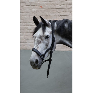 Cabridão Lami-Cell Flexicare Preto