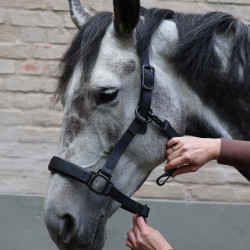 Cabridão Lami-Cell Flexicare Preto