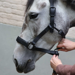 Cabridão Lami-Cell Flexicare Preto