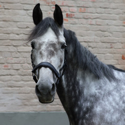 Cabridão Lami-Cell Flexicare Preto