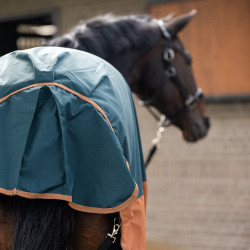 Capa de exterior Imperial Riding Customized 400g com pescoço Verde escuro / fox