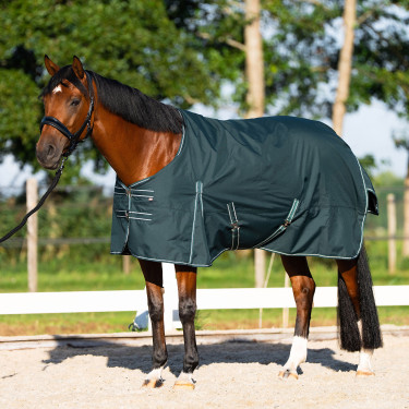 Manta de paddock Imperial Riding Basic sem pescoço 300 g Verde