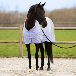 Capa anti-moscas com proteção de pescoço removível Imperial Riding Reese Glicina