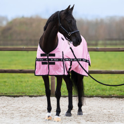 Capa anti-moscas HV Polo Nena Rosa bonita