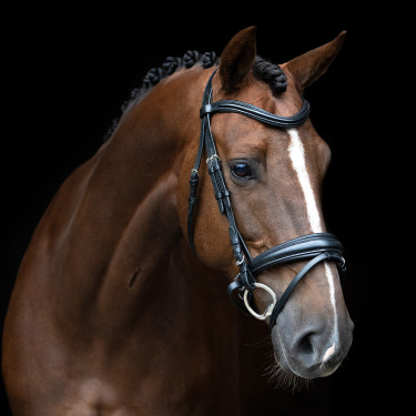 Bridão inglês Imperial Riding combinado Sleek Preto