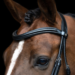 Bridão inglês Imperial Riding combinado Sleek Preto