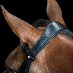 Bridão inglês Imperial Riding combinado Sleek Preto