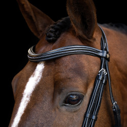 Brideira Imperial Riding com muserola inglesa curva Preto