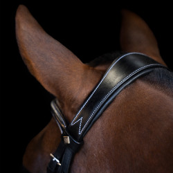 Brideira Imperial Riding com muserola inglesa curva Preto