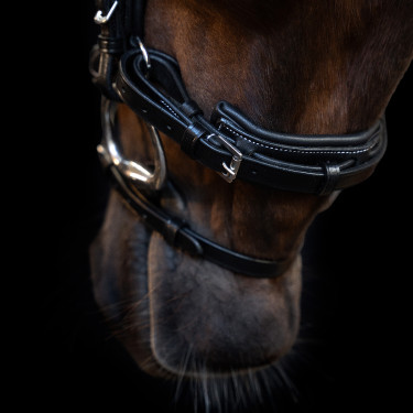Brideira Imperial Riding com muserola inglesa curva Preto