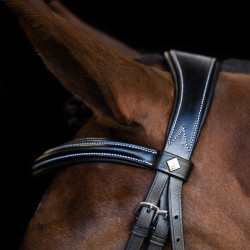 Brideira Imperial Riding com muserola inglesa curva Preto