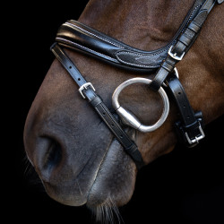 Brideira Imperial Riding com muserola inglesa curva Preto