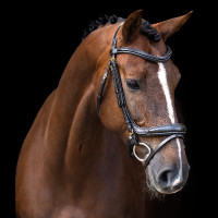 Brideira Imperial Riding com muserola inglesa curva Castanho Brideira Imperial Riding com muserola inglesa curva Castanho